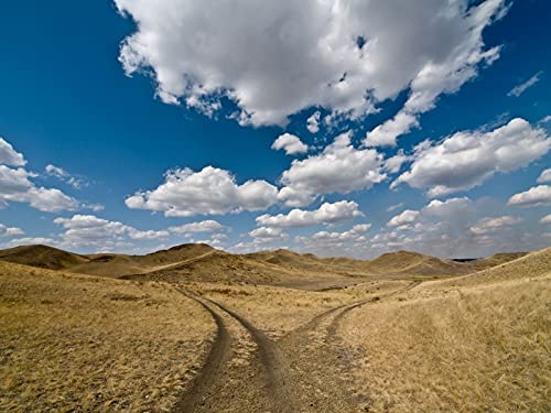 The Great Divorce 10 - Human free will and the Sovereignty of God by Unknown