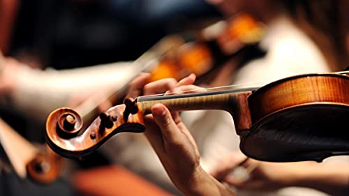 Ephesians 4 1-16 Sermon Podcast - God's Orchestra by Unknown