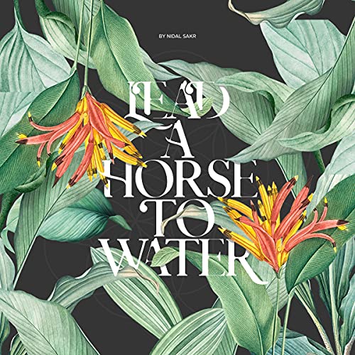 Lead a Horse to Water by Nidal Sakr