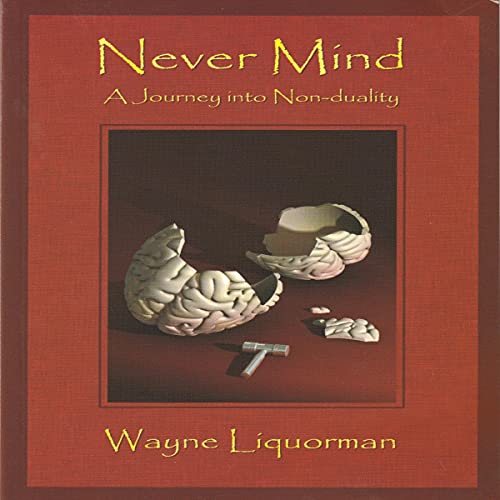 Never Mind - A Journey into Non-duality by Wayne Liquorman