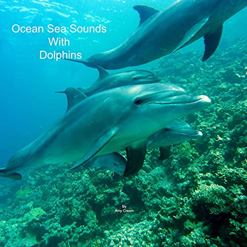 Ocean Sea Sounds with Dolphins
