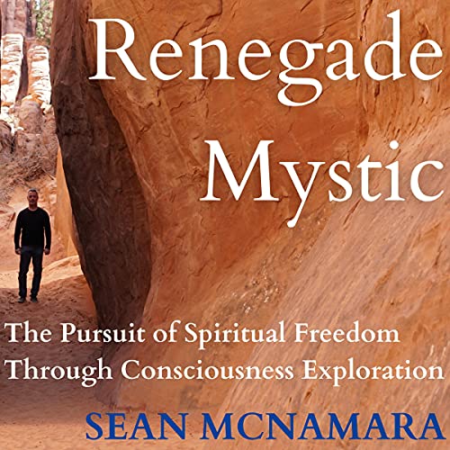Renegade Mystic by Sean McNamara