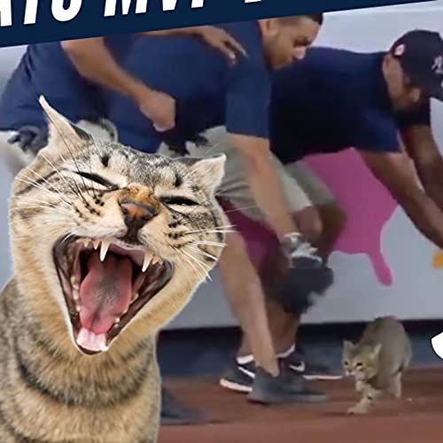 MLB: YANKEES tuvieron un GATO de MVP en el juego by Unknown