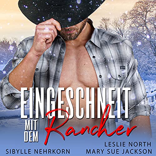 Eingeschneit mit dem Rancher [Snowed in with the Rancher] by Mary Sue Jackson