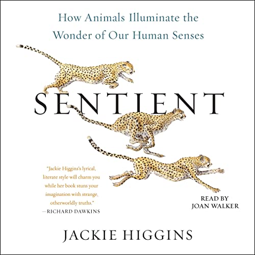 Sentient by Jackie Higgins