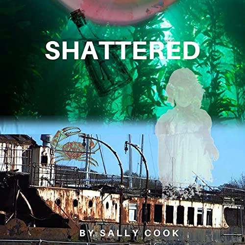 Shattered by Sally Cook