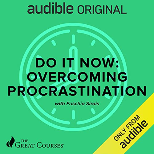 Do It Now: Overcoming Procrastination by Fuschia Sirois