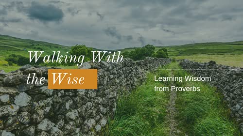 Wise Emotions: Jealousy & Joy - 2021/08/08 by Unknown