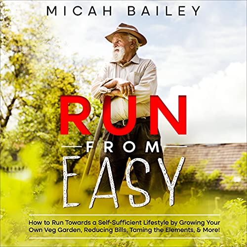 Run from Easy by Micah Bailey