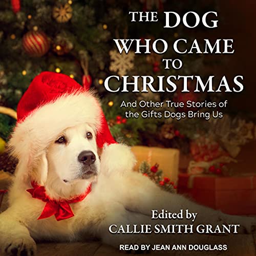 The Dog Who Came to Christmas