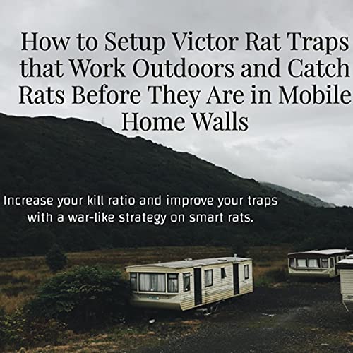 How to Setup Victor Rat Traps That Work Outdoors and Catch Rats Before They Are in Mobile Home Walls