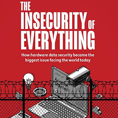 The Insecurity of Everything by Aaron Blum