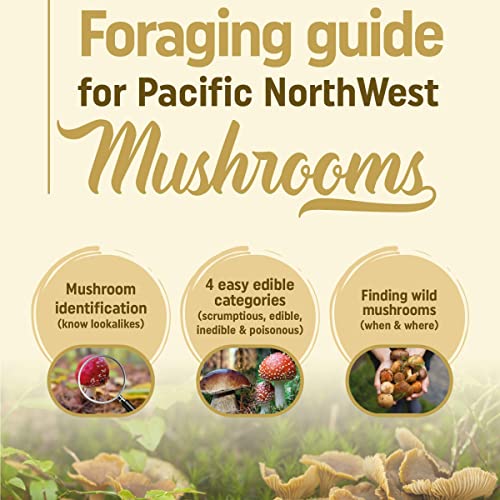 Foraging Guide for Pacific Northwest Mushrooms by Darcy Field