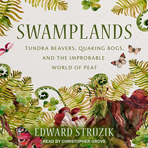 Swamplands by Edward Struzik