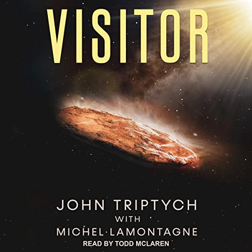 Visitor by John Triptych