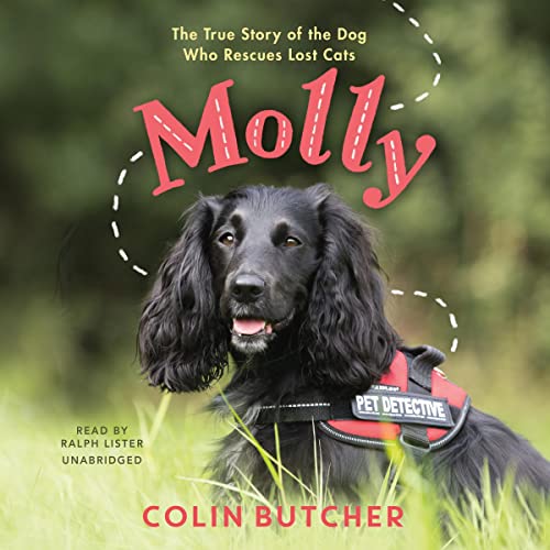 Molly by Colin Butcher
