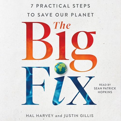 The Big Fix by Hal Harvey