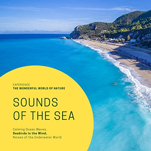 Sounds of the Sea - Calming Ocean Waves, Seabirds in the Wind, Noises of the Underwater World