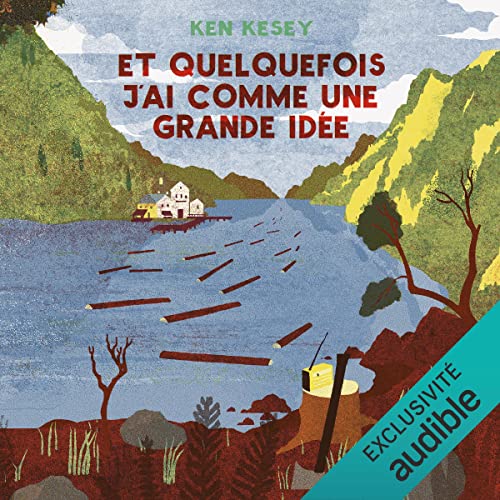 Et quelquefois j'ai comme une grande idée