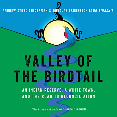 Valley of the Birdtail by Andrew Stobo Sniderman