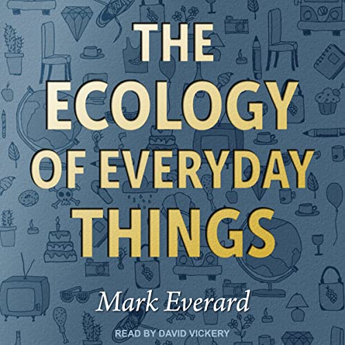 The Ecology of Everyday Things