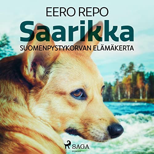 Saarikka by Eero Repo