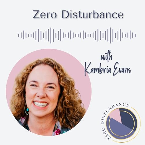 Zero Disturbance by Kambria Evans The Teaching & Learning EMDR Consultant