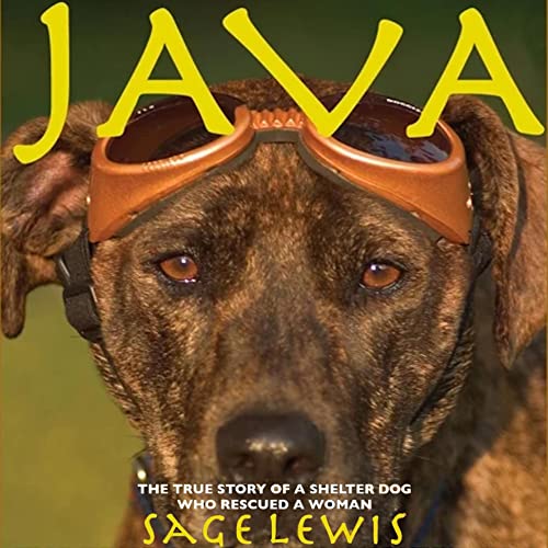 Java by Sage Lewis