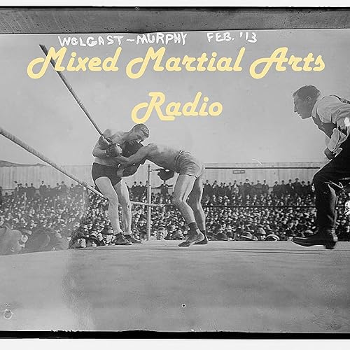 Mixed Martial Arts Radio by Audelio
