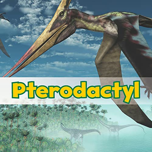 Pterodactyl by Daniel Nunn