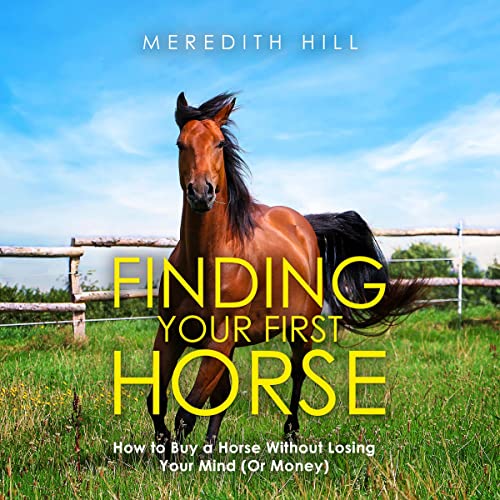 Finding Your First Horse: How to Buy a Horse Without Losing Your Mind (or Money)