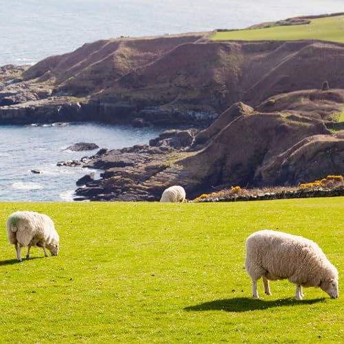 Countryside by Manx Radio