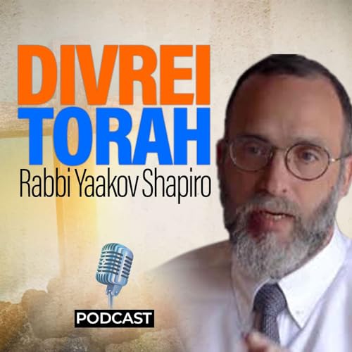 Divrei Torah by Rabbi Yaakov Shapiro