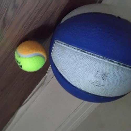 Tennis and Basketball with Guy by Guy Walker-Wallenbrock