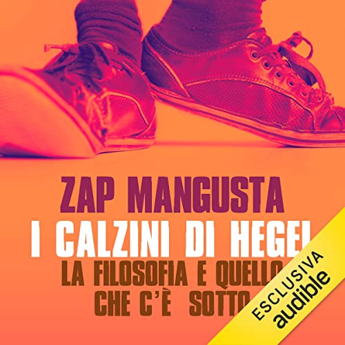 I calzini di Hegel