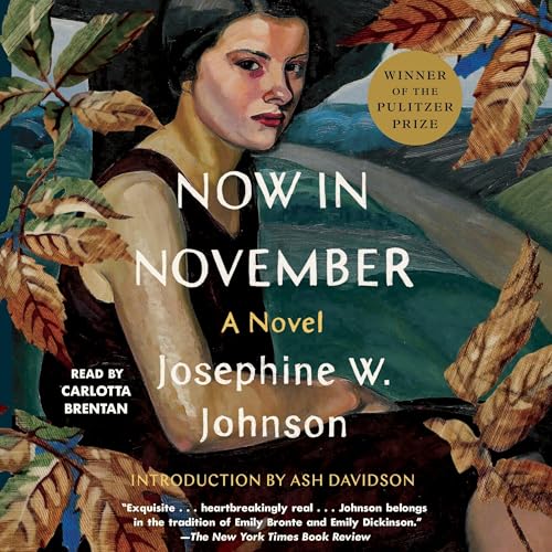 Now in November by Josephine Johnson