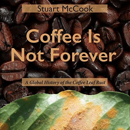 Coffee Is Not Forever by Stuart McCook
