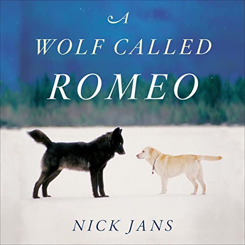 A Wolf Called Romeo by Nick Jans
