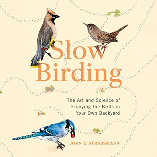 Slow Birding by Joan E. Strassmann