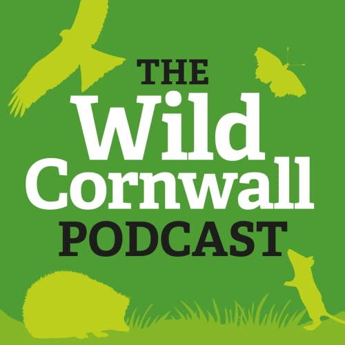 The Wild Cornwall Podcast by Cornwall Wildlife Trust