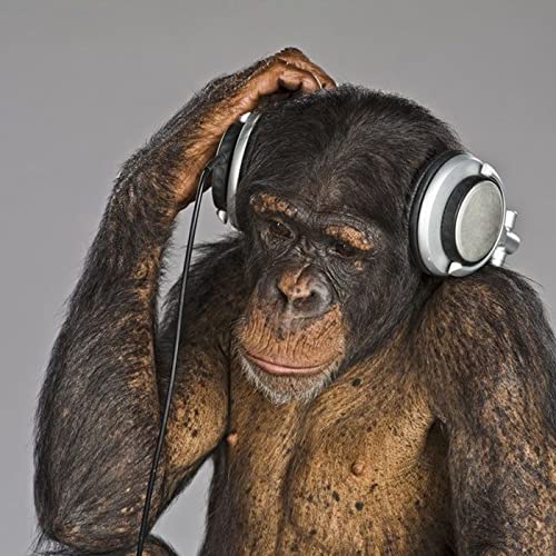 Discography Discourse by Ben Oakley