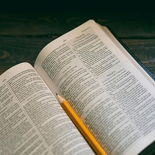 A Bíblia Narrada por Cid Moreira - Narval by Narval