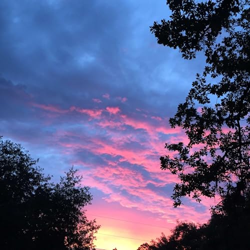 Tamah's Torah Teaching by Connie