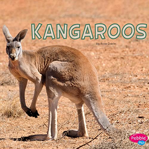 Kangaroos