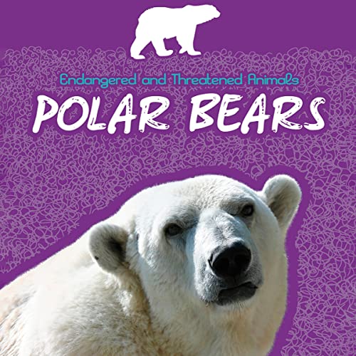 Polar Bears by Kathy Allen