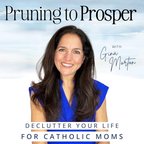 Pruning To Prosper/ Catholic, Declutter, Organize, Motivation, Budget, Meal Plan by Gina Morton / Declutter Coach Catholic Mindset Mentor