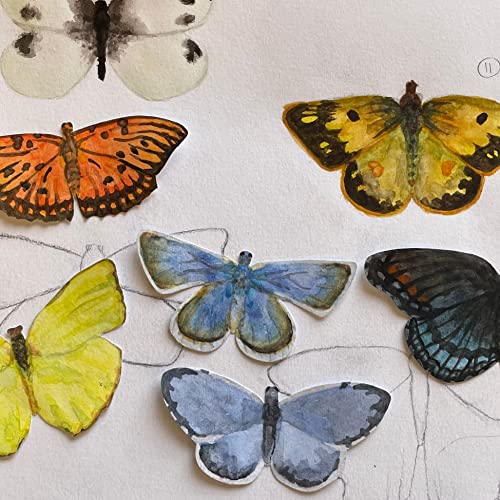 Hypnotic presentations by Kerry