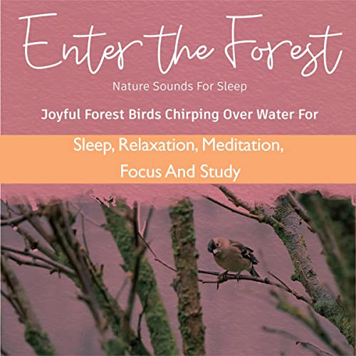 Enter the Forest: Nature Sounds for Sleep