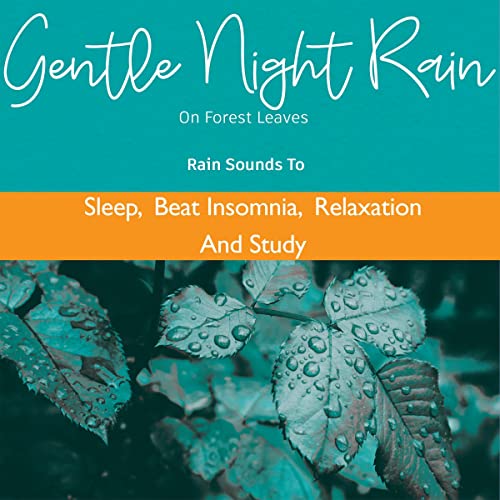 Gentle Night Rain on Forest Leaves
