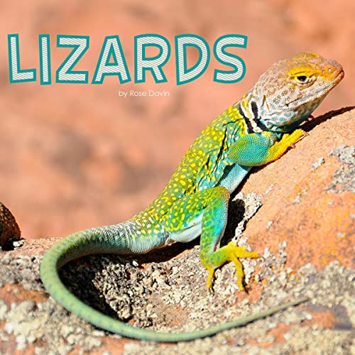 Lizards by Rose Davin